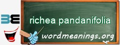 WordMeaning blackboard for richea pandanifolia